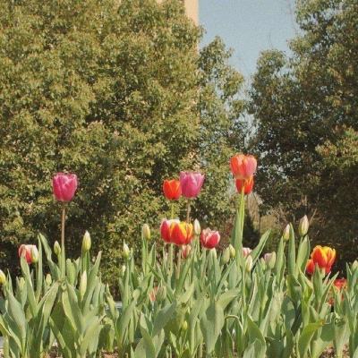 宝威体育手机app下载