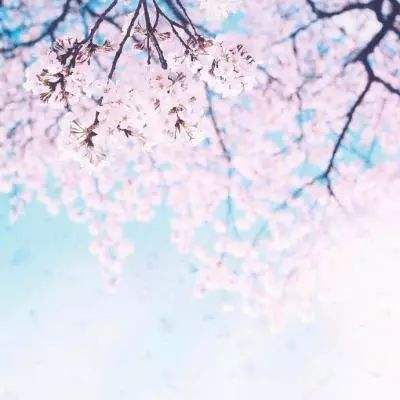 kaiyun体育登录网页入口