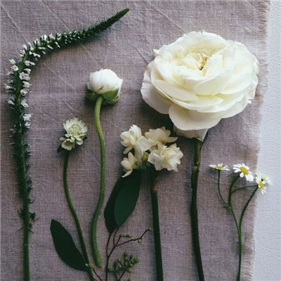 开云·体育平台