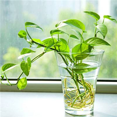 美高梅网址下载手机版